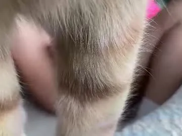 lexi_luv – webcam model profile photo